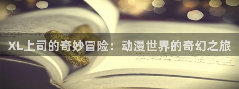 acg动漫资源下载：XL上司的奇妙冒险：动漫世界的奇幻之旅
