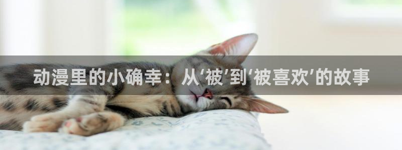 acg动漫下载官网：动漫里的小确幸：从‘被’到‘被喜欢’的故事