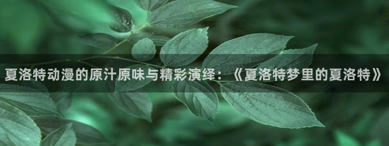 acg动漫天堂：夏洛特动漫的原汁原味与精彩演绎：《夏洛特梦里的夏洛特》