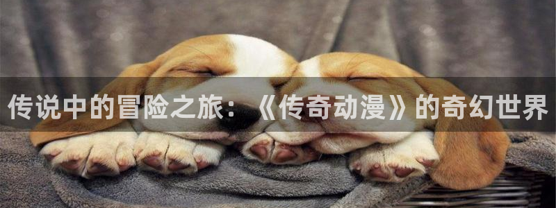 acg动漫网网址：传说中的冒险之旅：《传奇动漫》的奇幻世界