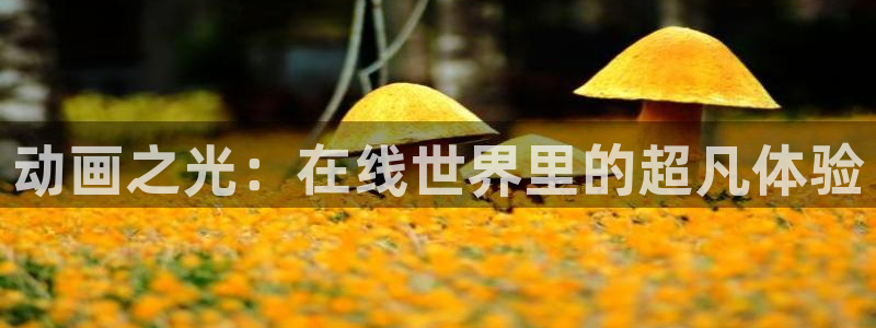 acg动漫网网址：动画之光：在线世界里的超凡体验