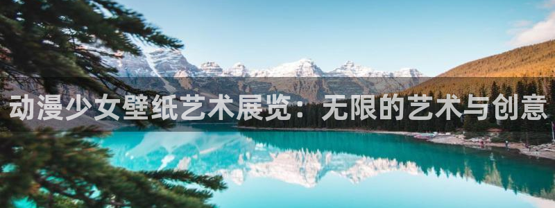 里番acg动漫：动漫少女壁纸艺术展览：无限的艺术与创意