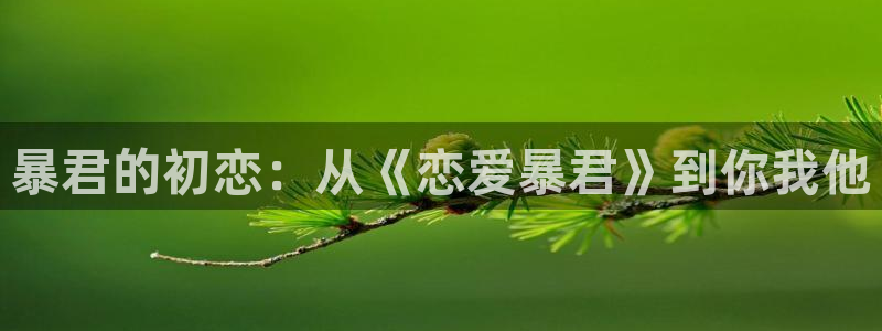 acg动漫官：暴君的初恋：从《恋爱暴君》到你我他