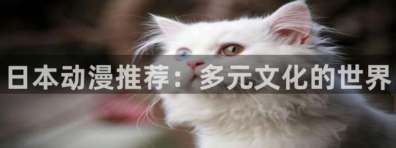 里番acg动漫下载：日本动漫推荐：多元文化的世界