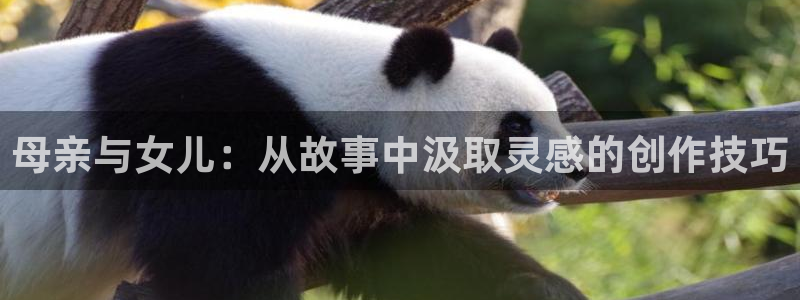 acg动漫次元网：母亲与女儿：从故事中汲取灵感的创作技巧
